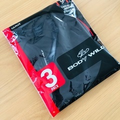 GUNZE Tシャツ【未使用1枚】