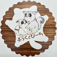 フクロモモンガ   ふっくとぴーち　おチビ☺️