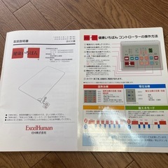 本日限定！エクセルヒューマン温熱、電位、交互治療敷きマット「健康いちばん」の画像