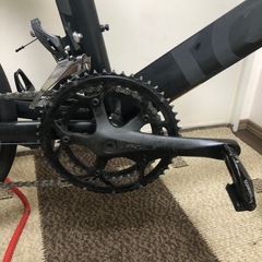 TERN SURGE 52サイズ