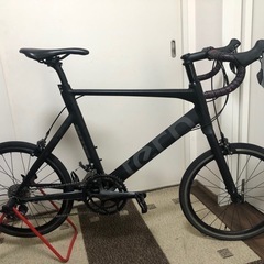 TERN SURGE 52サイズ