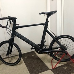 TERN SURGE 52サイズ