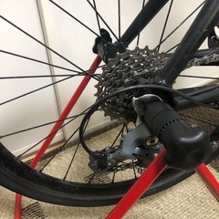 TERN SURGE 52サイズ