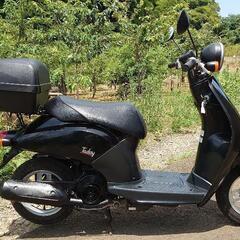 ストレートプレイDVD新子役ディズニー英語システムDWE