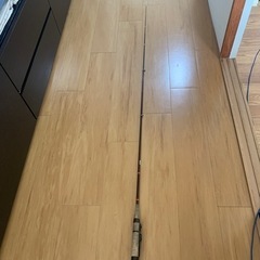 決まりました　釣り竿1本
