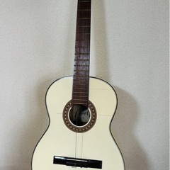Akagi Guitar NO85   j108