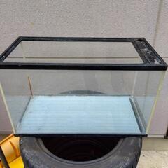 45cm水槽　屋外でカブトムシ飼育に使用　汚れありの画像