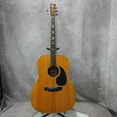 Morris モーリス W-50 アコースティックギター