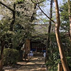 植栽伐採、雑草除去、植栽剪定なら 【植栽伐採の生活レスキュー隊 ...