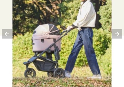 人気！エアバギー