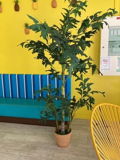 フェイクグリーン(鉢植え型・大型)④
