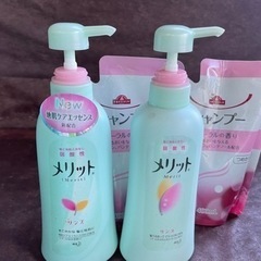 頭皮系シャンプー類　まとめセット　オクト　メリット　ボディソープ等の画像