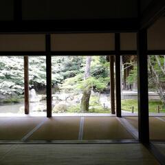 【インタビュー相手の募集】行ってみたい街や体験したいことを教えて...