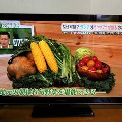 ∞ パナソニック ビエラ 42型 TH-P42VT33 プラズマ...