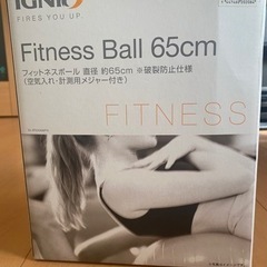 フィットネスボール 