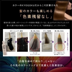 KYOGOKU 白髪染めシャンプーの画像