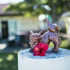 🌺🌺友達同士の応募OK！友達紹介キャンペーン16,000円実施中...