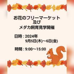 お花のフリーマーケット開催のお知らせ