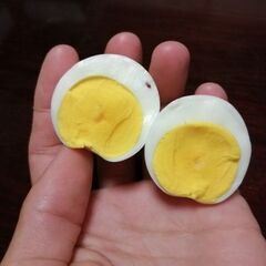 【ご協力ありがとうございました】くず米と烏骨鶏の卵を交換！