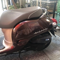 🛵ホンダジョルノ🛵の画像