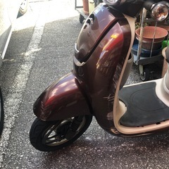 🛵ホンダジョルノ🛵の画像