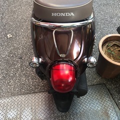 🛵ホンダジョルノ🛵の画像