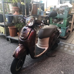 🛵ホンダジョルノ🛵