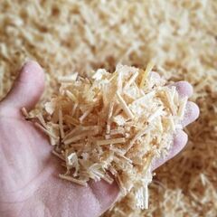 木屑（きくず）（おがくず）差し上げます(9)