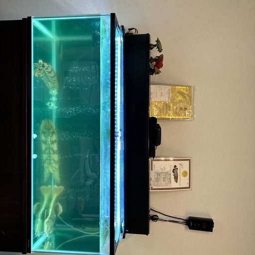 今日まで120センチ水槽