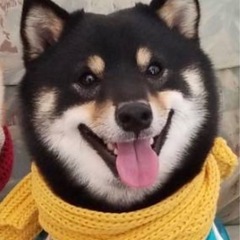 【大田区】またバレーがやりたくて【ブランクあり】