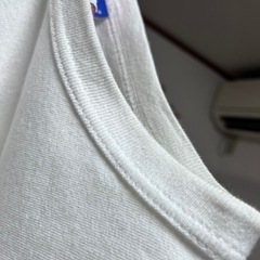 チャンピオン　Tシャツ２着の画像