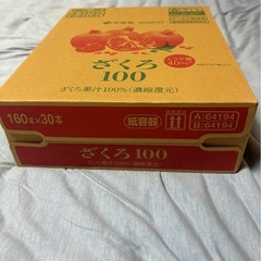 伊藤園ざくろ100 160ｇ30本セット