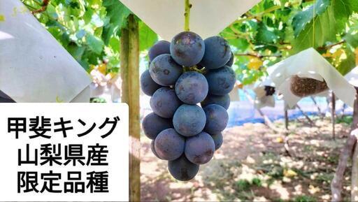 1⃣7️⃣ 山梨県産 甲斐キング 10房入り 箱込み5.5キロ＆シャイン slide_1722337189180.jpg