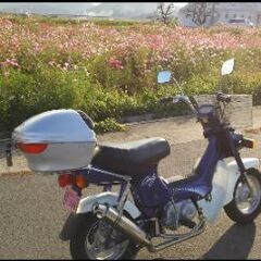 涼をもとめて原付ツーリング