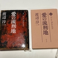 愛の流刑地  上下巻《著者サイン》サイン本　初版　コレクション　希少