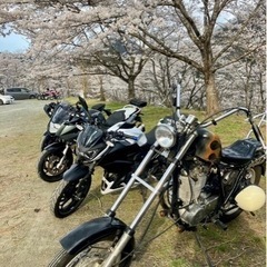 ツーリングメンバー募集🏍 - 大阪市