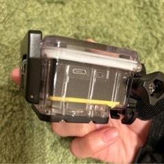 水中カメラの画像