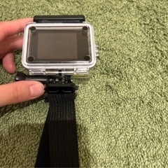 水中カメラの画像