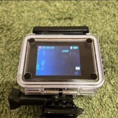 水中カメラの画像