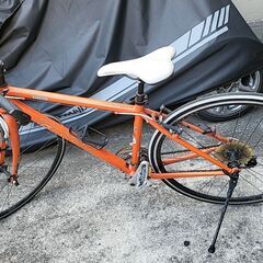 GIANT ジャイアント ESCAPE R3.1 オレンジの画像