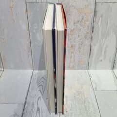 【書籍・児童書】【美品】廣嶋玲子 ゆうれい猫ふくこさん＆ゆうれい猫と魔女の呪い 2冊セットの画像