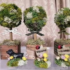 プリザーブドフラワー　handmade教室　JR尼崎駅前　2024年夏休みレッスン　８月の画像
