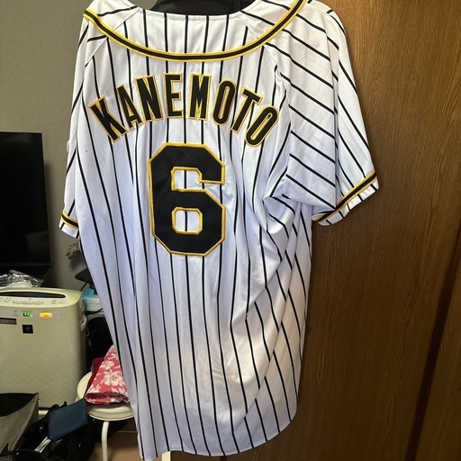 阪神タイガース金本元監督