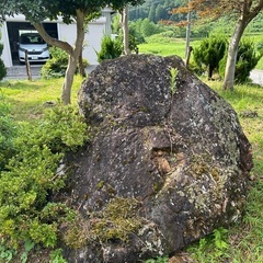 庭石