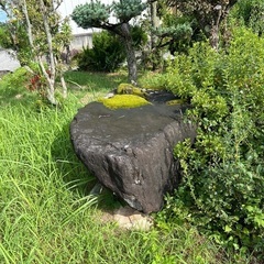 庭石