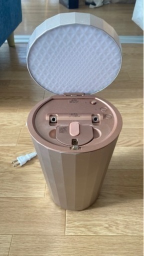 YAMAN  フォトスチーマー