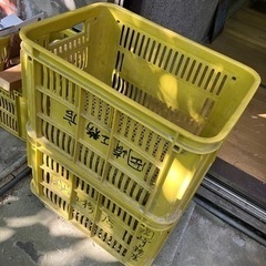 ミカン箱　プラケースの画像