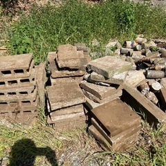 石板庭などにの画像