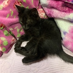 今回は、おっとりちゃん、紹介です