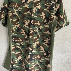 チャンピオンとアディダスTシャツの画像
